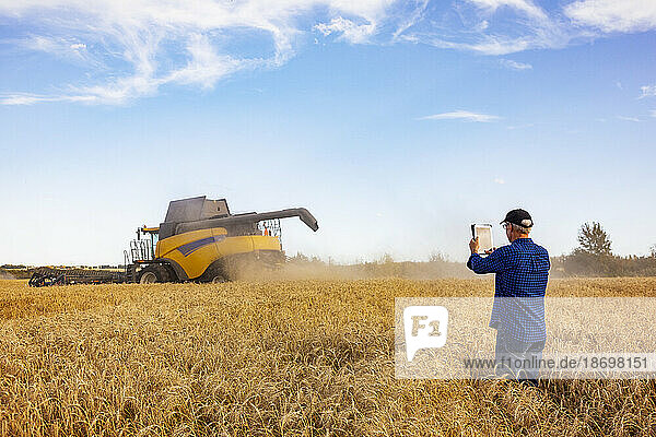 Farmer using a tablet to manage his grain harvest with a combine working in the background; Alcomdale  Alberta  Canada