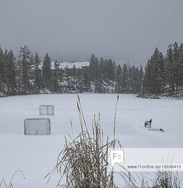 Winter day in a community with hockey nets on a frozen pond; British Columbia  Canada