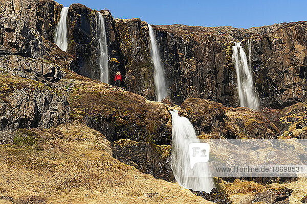 Scenic view of a woman standing on a cliff side slope in front of a series of waterfalls  some above and below  flowing from the craggy cliffs of the East Fjords making her appear small against the vast landscape in front of her; East Iceland  Iceland