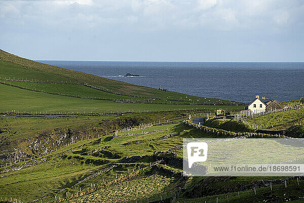 Traditional coastal cottage along the Atlantic shore on the Dingle Peninsula; County Kerry  Ireland