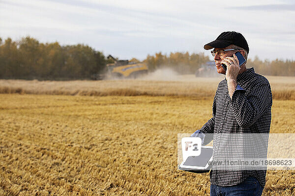 Farmer using a tablet to manage his harvest and talking on his cellphone with harvesting equipment working in the background; Alcomdale  Alberta  Canada