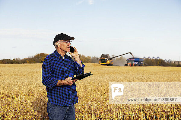 Farmer using a tablet to manage his grain harvest and talking on his cellphone with a combine offloading wheat to a grain buggy in the background; Alcomdale  Alberta  Canada