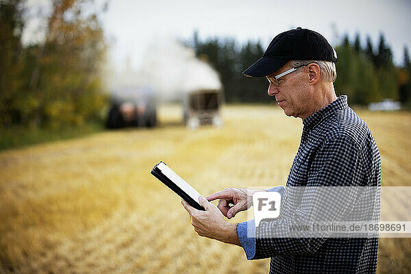 Farmer using a tablet to manage his harvest with harvesting equipment working in the background; Alcomdale  Alberta  Canada