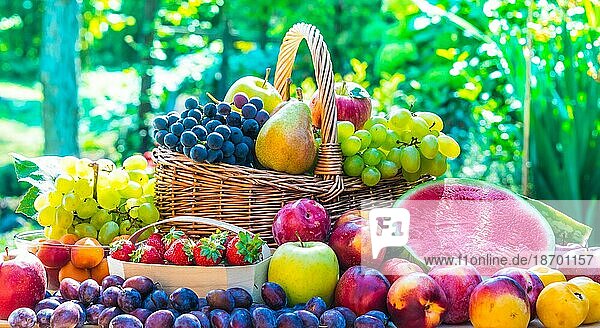Vielfalt an frischen  reifen Früchten im Garten. Ausgewogene Ernährung