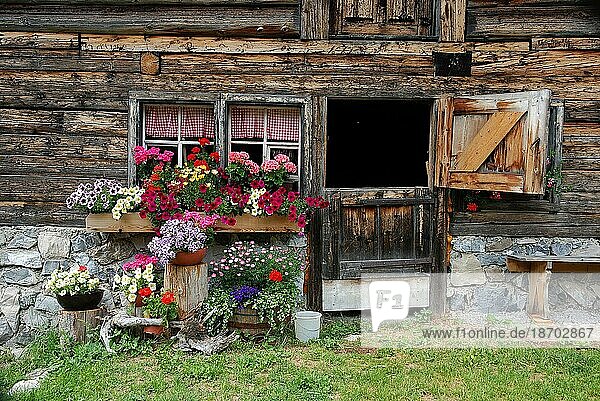 Blumenschmuck vor Almhütte im Lechtal  Tirol  Österreich  Europa