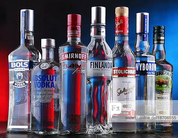 POZNAN  POLEN 15. NOVEMBER 2018: Flaschen mehrerer globaler Wodkamarken  die Welt