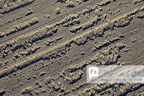 Luftbildaufnahme eines Getreideackers