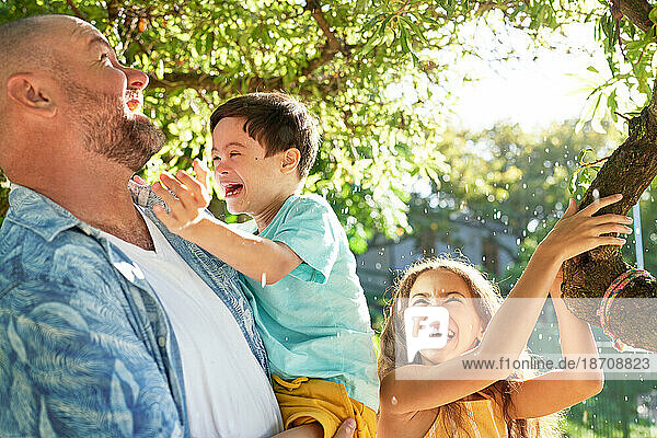 Happy family laughing below sunny summer tree