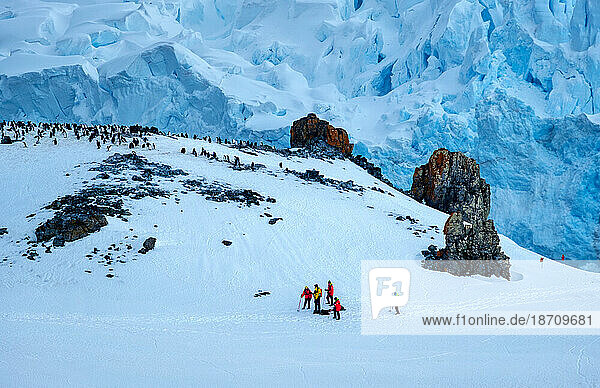 Hikers climbing Half Moon Island  South Shetland Islands  Antarctica  Polar Regions