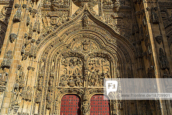 Salamanca Cathedral  Salamanca  UNESCO World Heritage Site  Castile and Leon  Spain  Europe