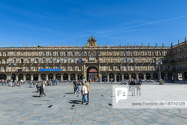 Plaza Mayor  Salamanca  UNESCO World Heritage Site  Castile and Leon  Spain  Europe