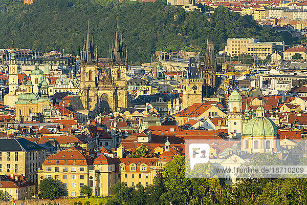Prague skyline with Church of Our Lady Before Tyn  Old Town Hall Tower  Powder Tower and other spires  Old Town  UNESCO World Heritage Site  Prague  Bohemia  Czech Republic (Czechia)  Europe