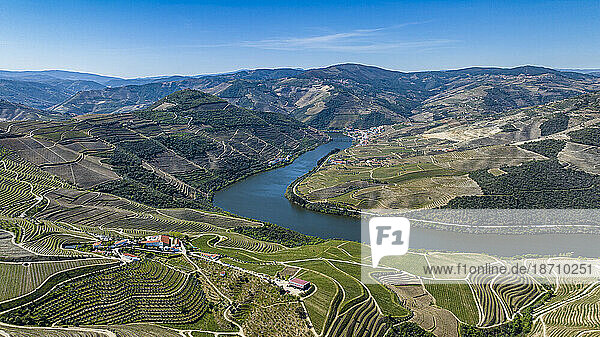 Aerial of the Wine Region of the Douro River  UNESCO World Heritage Site  Portugal  Europe