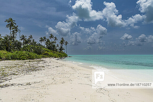White sand beach on Bangaram island  Lakshadweep archipelago  Union territory of India  Indian Ocean  Asia