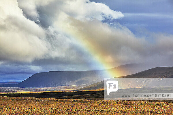Rainbow over landscape along the F550 road  in the Kaldidalur valley  west of the Langjokull ice-cap  on the edge of the Highlands  west Iceland  Polar Regions