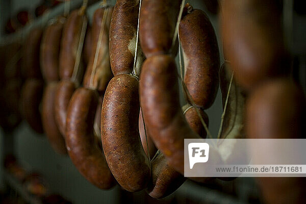 Sausages  or chorizos  made from Spanish Iberian pigs.