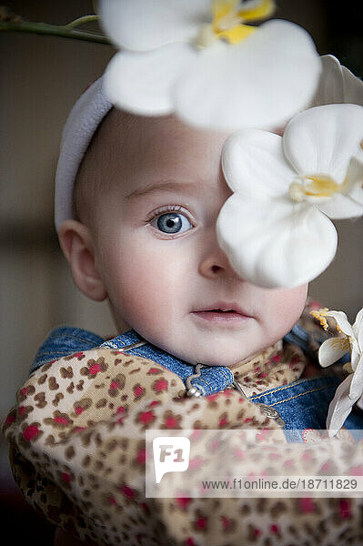 A portrait of a baby girl with flowers over her face.