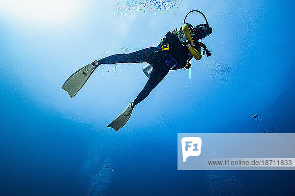 diver exploring the Indian Ocean at the Maldives
