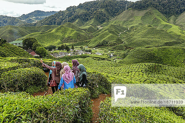 Young women at tea platation Cameron Highlands Malaysia