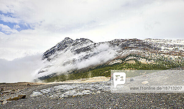 Jasper National Park  Alberta Canada