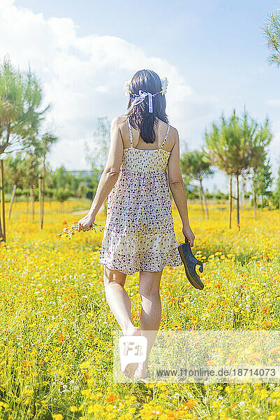 Rear view of a beautiful woman in dress walking through a field of flowers carrying her shoes
