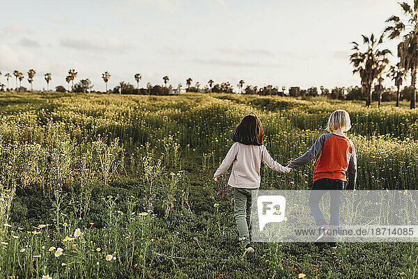 Little girl and boy holding hands walking away into a field