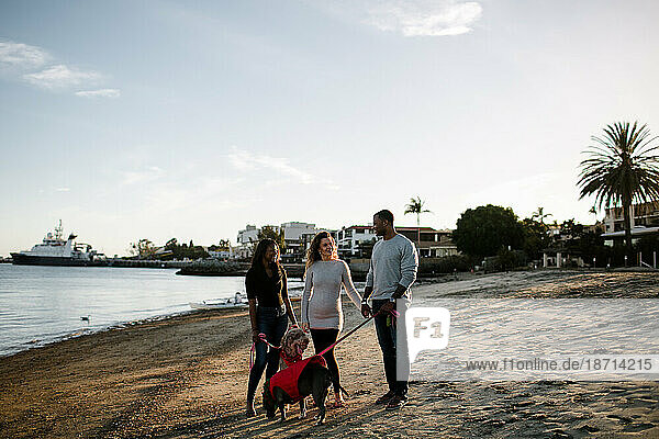 Blended family standing with dogs on beach at sunset