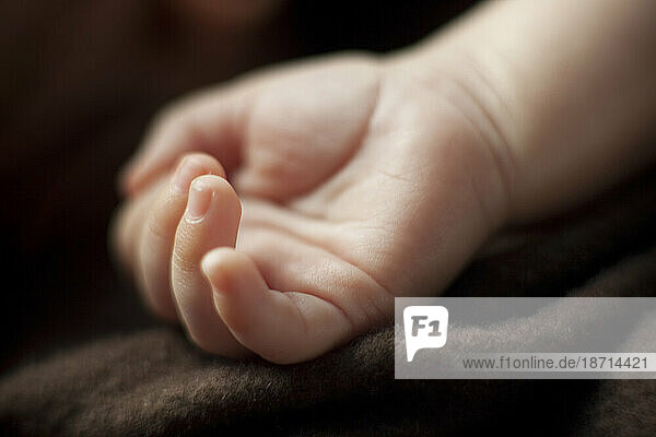 Close up of a baby's hand.