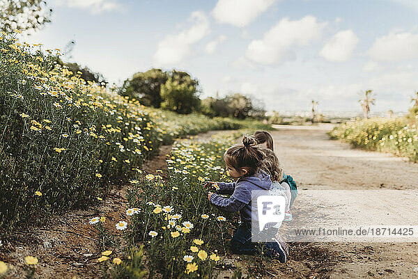 Little children playing in a flower field with blue sky behind them