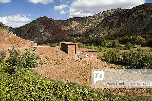 A small field and house near Abachkou in the M'Goun Massif  Central High Atlas  Morocco.