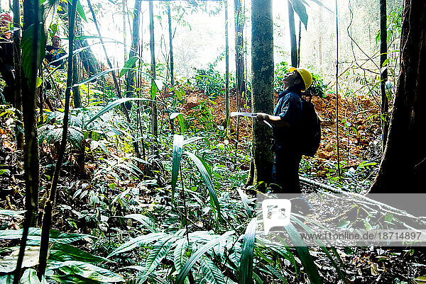 Carbon monitoring and forest sequestration research in Indonesia.