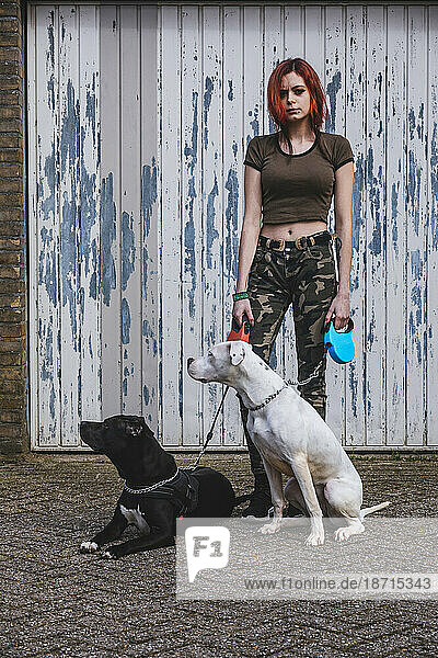 Young woman with 2 big dogs in the city