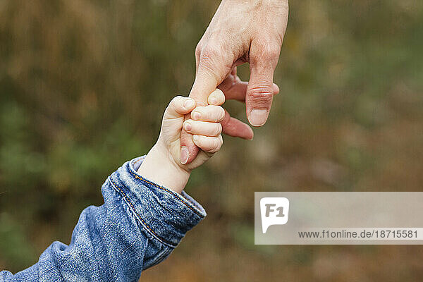 close-up of a small child and parent holding hands