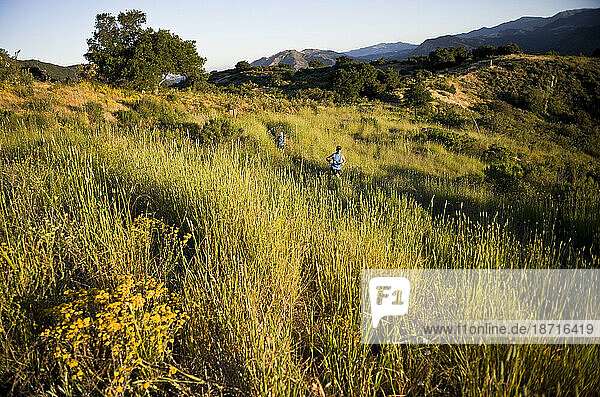 Trail runners crosses through green fields at sunrise.