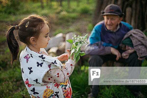 Little girl giving a flowers to her great grandfather in nature