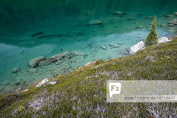 Grassy meadow by the bright blue color of an alpine lake in Canada.