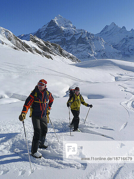 Two skiers are waiting for their friends to ski down a steep slope in powder snow.