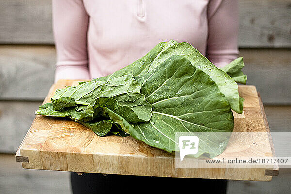 A young woman holds a wooden cutting board laden with organic collard greens from her garden in Seattle  Washington.