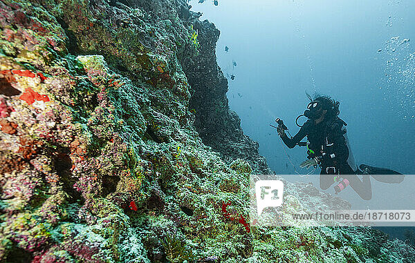 diver exploring reef in the Maldives