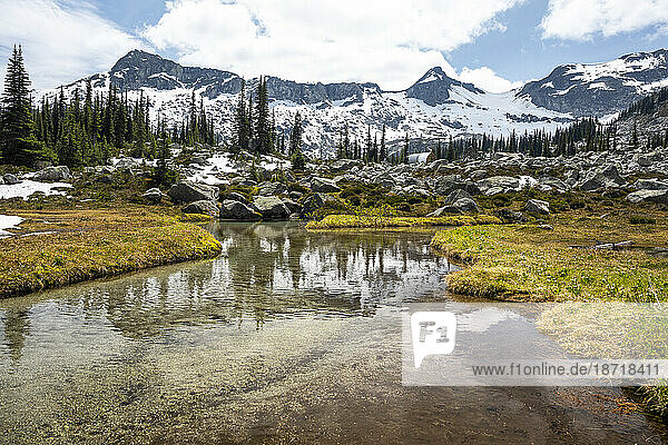 A creek runs through an alpine mountain meadow in British Columbia.
