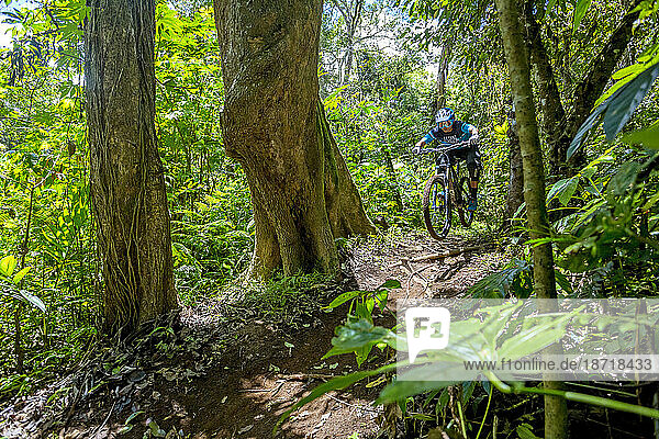 Mountain Biker Riding In Rainforest Of Bali  Indonesia