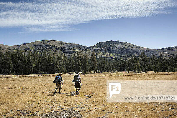 Two hikers cross through a meadow near Showers Lake  CA.