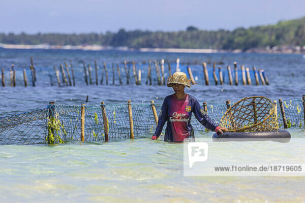 The Indonesian woman with seaweed.