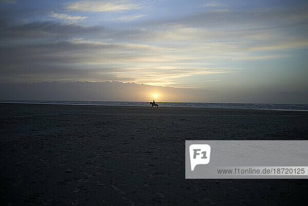 Stunning silhouette of a person riding a horse on the beach at sunset