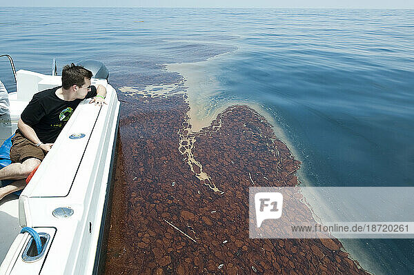 Deepwater Horizion oil spill