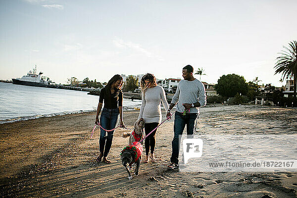 Blended family with dogs walks on beach at sunset