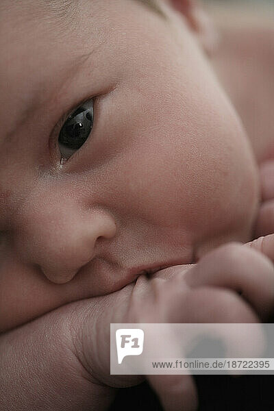 Portraits of a newborn baby