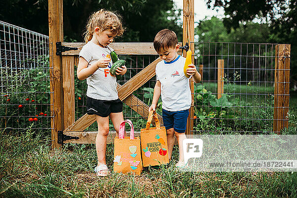 Young boy and girl put fresh picked veggies from home garden in bags