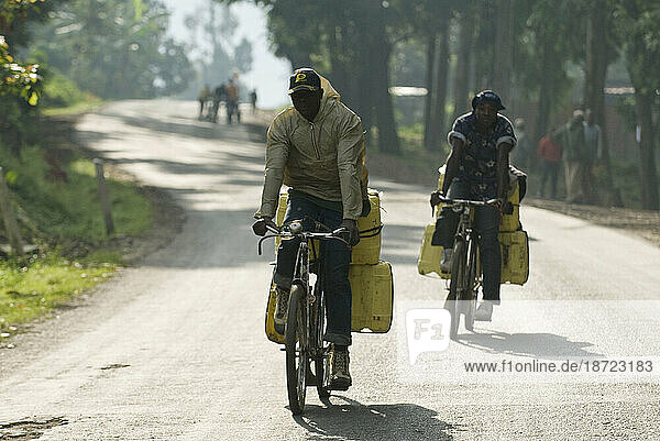 Cargo bikes on road from Gisenyi to Mutobo  Rwanda