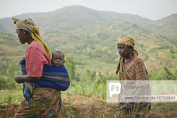 Coffee farmers  Kabuye area  Rwanda